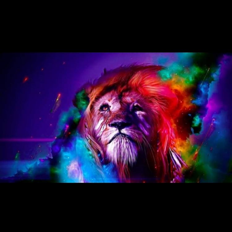 Colorful Lion Canvas 2