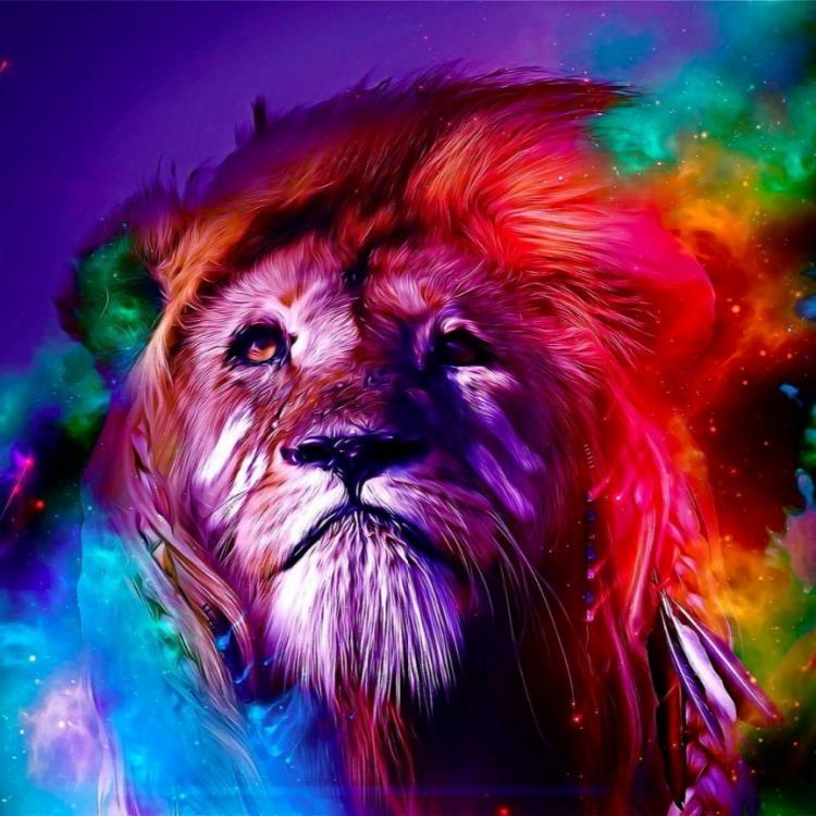 Colorful Lion Canvas 3