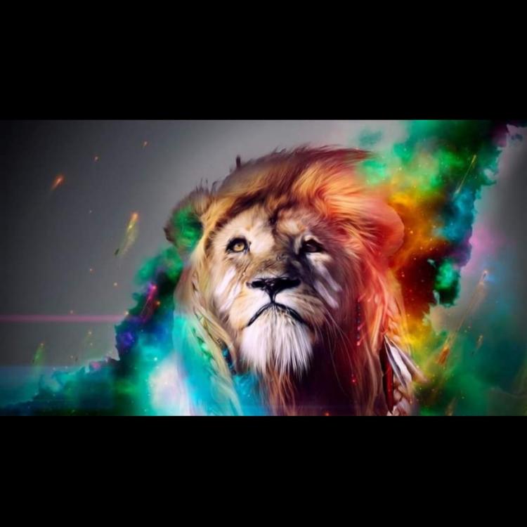 Colorful Lion Canvas 4