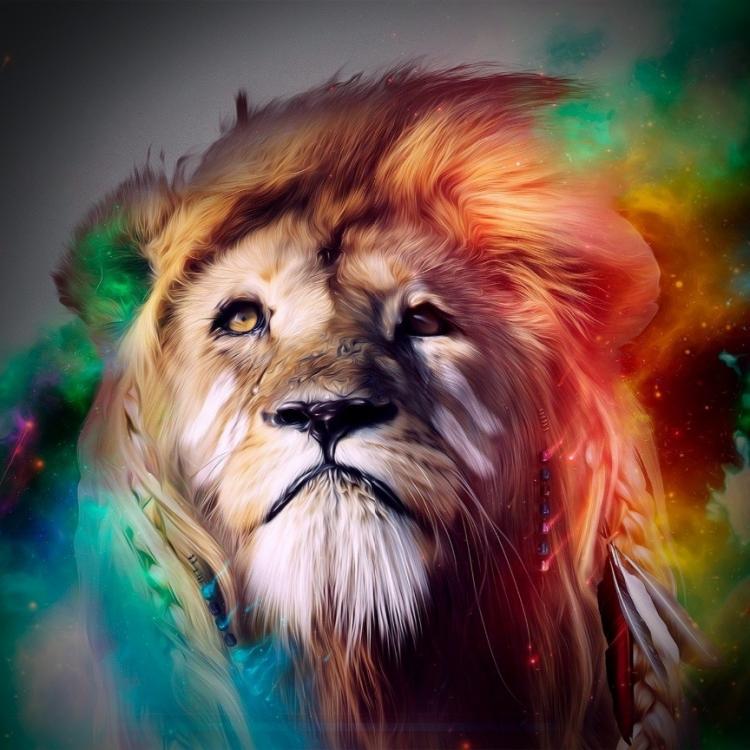 Colorful Lion Canvas 5